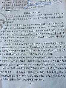 開頭以問句的形式作文大全