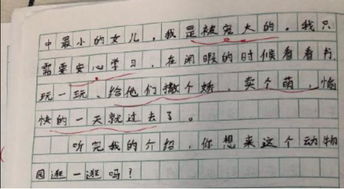 小小動物園作文的好開頭