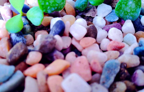 感動比賽作文開頭和結尾怎么寫