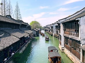 美麗西塘作文開頭