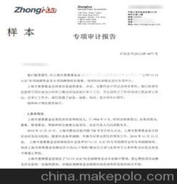 專項(xiàng)審計(jì)報(bào)告范文(公司清產(chǎn)核資專項(xiàng)審計(jì)報(bào)告)