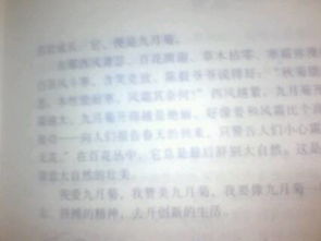 以美麗為題的600字作文開頭