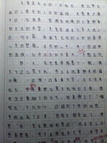 在謝謝難忘的一件事作文開頭