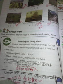 環(huán)境問題的作文開頭