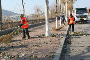 秋季落葉環(huán)衛(wèi)工人作文開頭