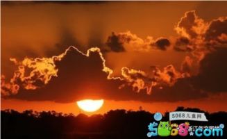 觀日落作文的開頭