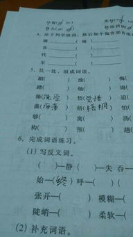 未來房屋作文開頭結(jié)尾