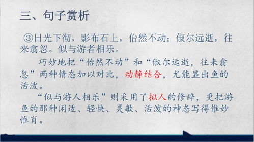 躬行實踐作文開頭