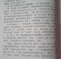 鄉(xiāng)村作文400字四級開頭