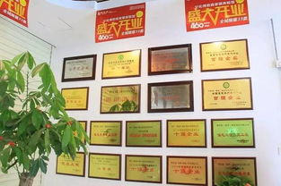 我有一個(gè)溫馨的家作文開(kāi)頭