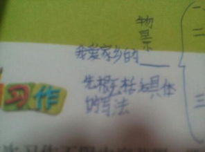 愛(ài)家的作文開(kāi)頭