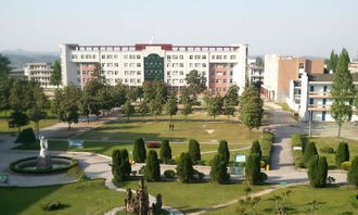 我的難忘回憶作文開(kāi)頭結(jié)尾