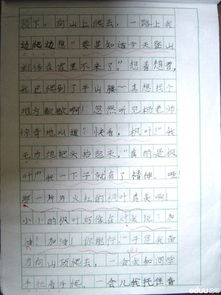 1000字爬山作文高中作文開(kāi)頭