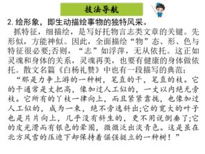 托物言志作文開(kāi)頭滿分