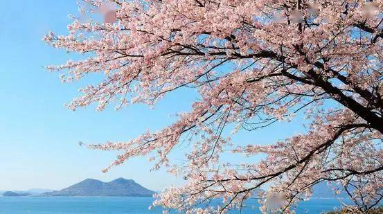 不愿(不愿離別不愿說(shuō)再見(jiàn)作文)