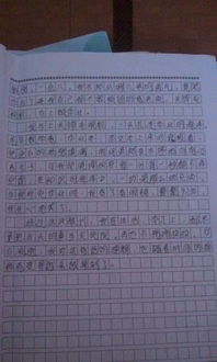 我總是想起她作文開頭