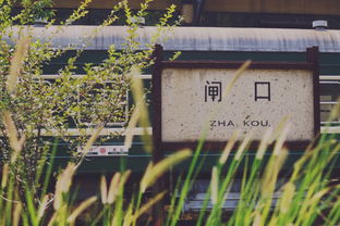 初中摘抄精彩的作文開頭大全集