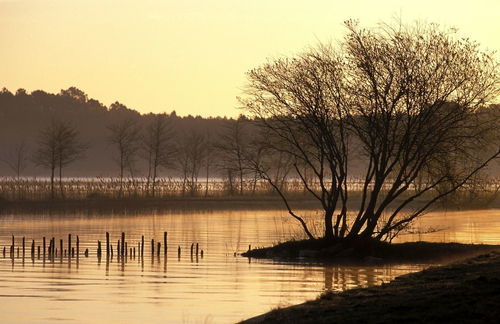 這個(gè)寒假不一樣作文開頭