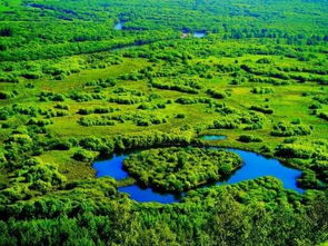 呼倫貝爾大草原作文開頭