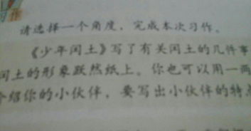 五級寫人寫物的作文開頭結(jié)尾