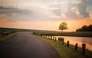 爭論作文開頭結(jié)尾優(yōu)美段落