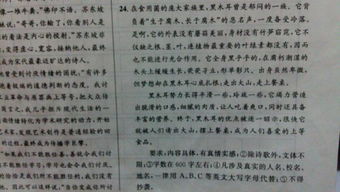 這就是我承諾600字作文開頭