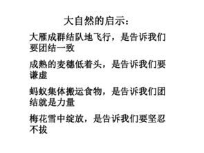 生活中的啟示作文精彩開(kāi)頭