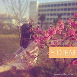 假如我是一朵花作文800字作文開頭