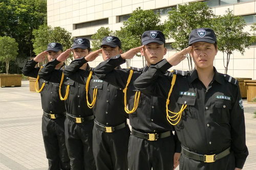 保安公司下屬工作重點(保安工作職責及工作重點)