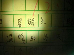 關(guān)于生日的作文五百字(關(guān)于生日的作文七百字)