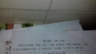 我有我的精彩校園生活作文開頭結(jié)尾