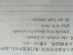 人與動物英文小作文開頭