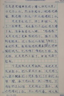 小動物作文(中心句開頭)