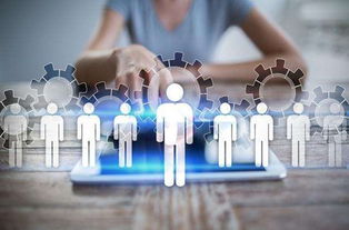 人事員工關(guān)系管理職責(zé)(人事員工關(guān)系工作總結(jié))