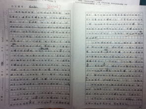 遇見執(zhí)著作文開頭