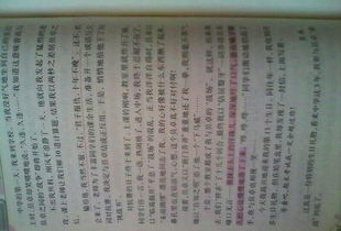 我們班的老師600字作文開(kāi)頭