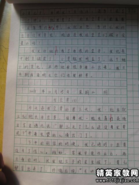 綠豆的成長日記的作文開頭