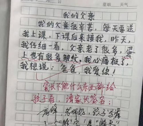 其實(shí)我很懂你老師作文600字作文開頭