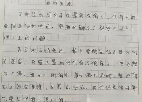 他可真傻的作文開(kāi)頭