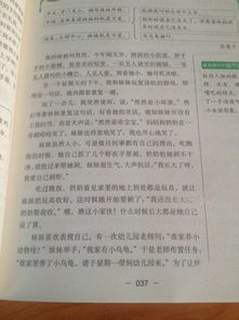 三級(jí)作文一件小事作文的好開(kāi)頭結(jié)尾