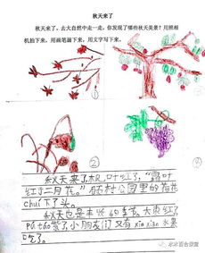 第一次經(jīng)歷作文開(kāi)頭結(jié)尾