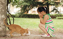 美好的心靈作文好開(kāi)頭