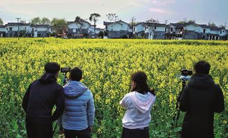 鄉(xiāng)村振興的根本 (鄉(xiāng)村振興五大振興內(nèi)容 )