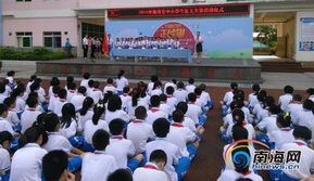 我參加了隊(duì)列儀式比賽作文開頭