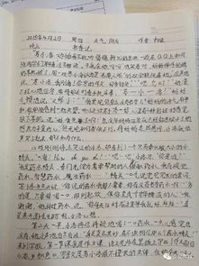 留下腳印作文開頭