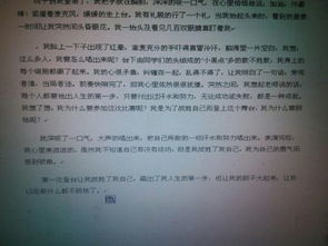 特別的一次作業(yè)作文800開頭