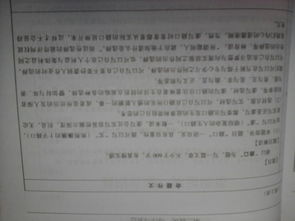 以樂(lè)觀為話題的開(kāi)頭作文600字作文