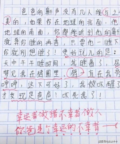 致我們逝去的光陰作文開頭
