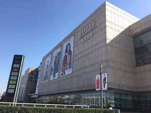 薩德事件作文的開頭