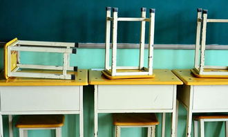 校園生活二三事作文開(kāi)頭